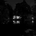 IMG_9618